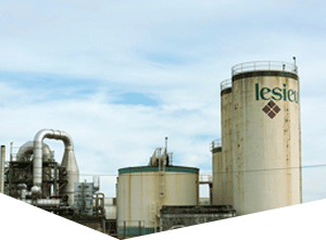 轰炸电话网页版